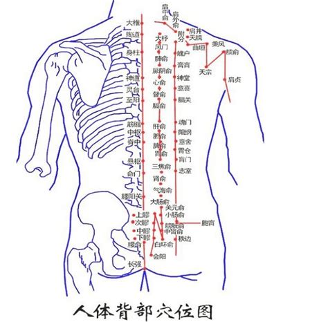 右背有痣女|背部有痣图解大全 背部有痣的人看命运